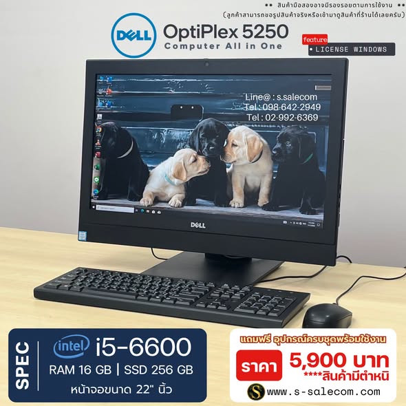 Dell OptiPlex 5250 (i5-6600) All-in-One RAM 16GB / SSD 256 GB - Image 2