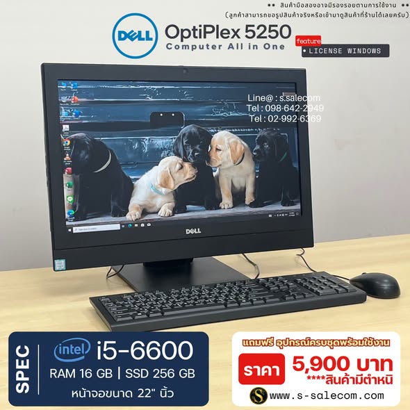 Dell OptiPlex 5250 (i5-6600) All-in-One RAM 16GB / SSD 256 GB - Image 3